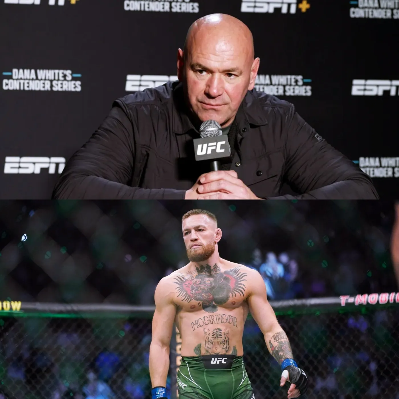 image_6737f700a40a4 Dana White confirms Conor McGregor will not return to the UFC even in 2025