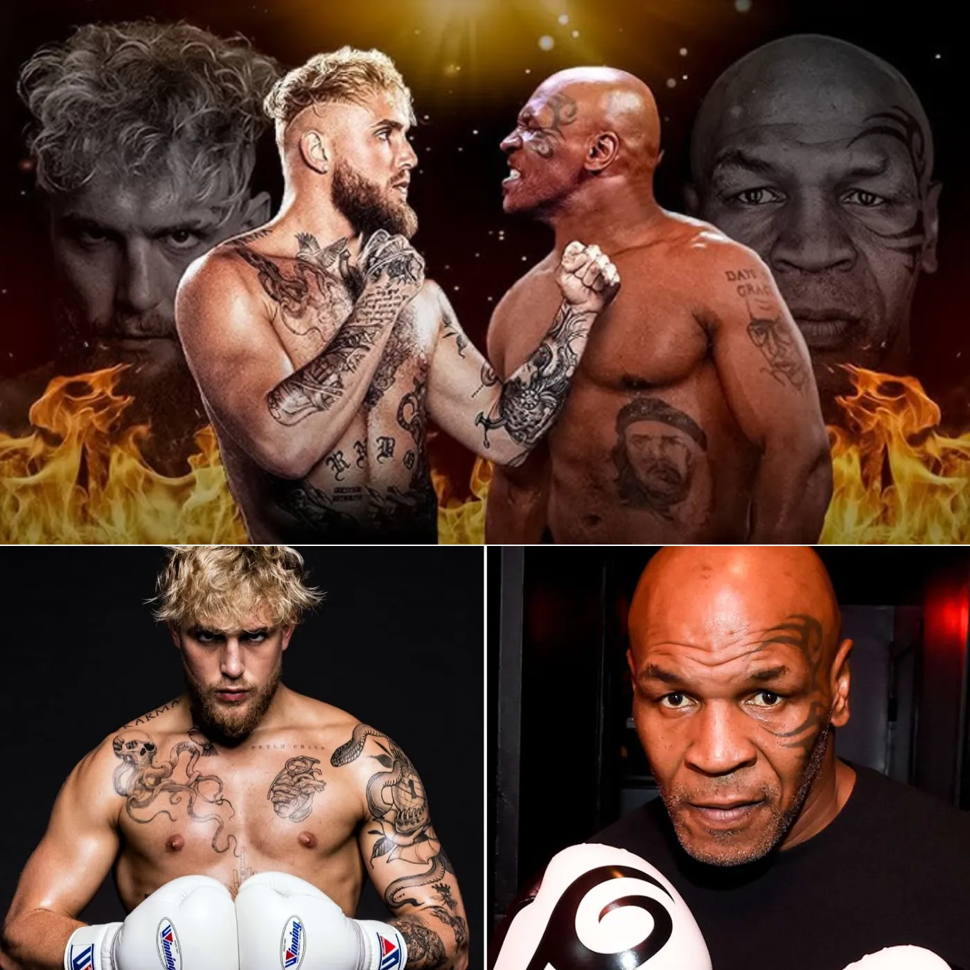 image_673811257bd3e Mike Tyson vs Jake Paul: Live information of the Ultimate boxing fight