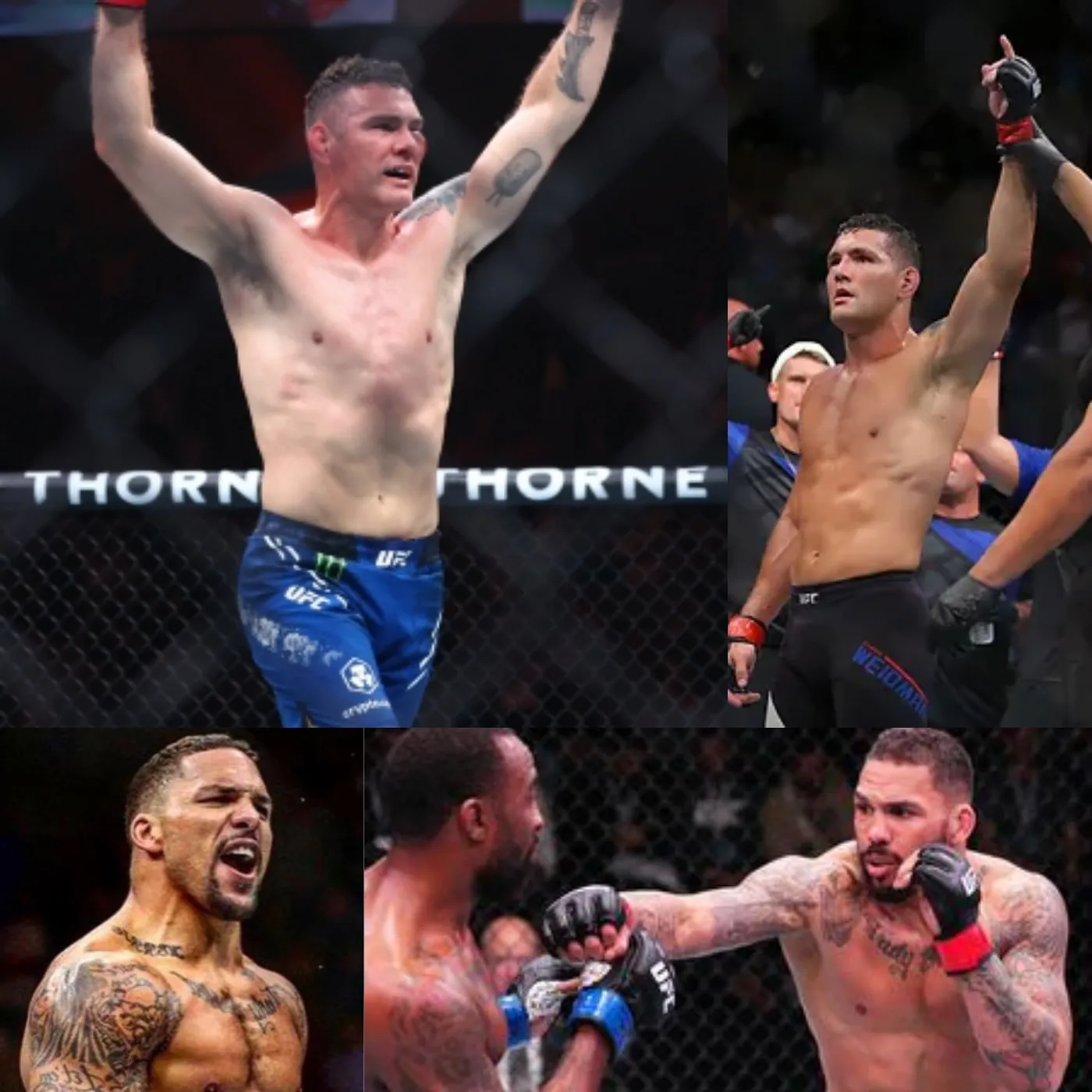 image_673ef760327ff Chris Weidman vs. Eryk Anders: From ‘Food Poisoning’ to a Life and Death Clash at UFC 310!