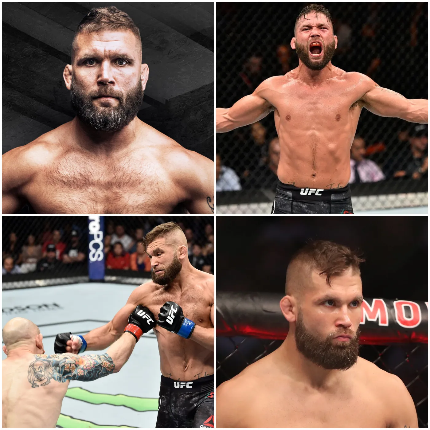 image_673f37efd97d6 Jeremy Stephens Secures Victory with Devastating Leg Kicks