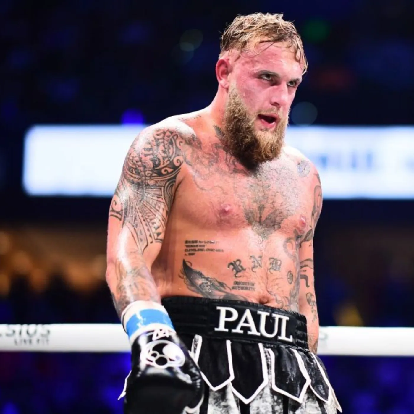 image_6741532be242a Jake Paul Silent After Victory Over Tyson Fury: Afraid To Face Challengers