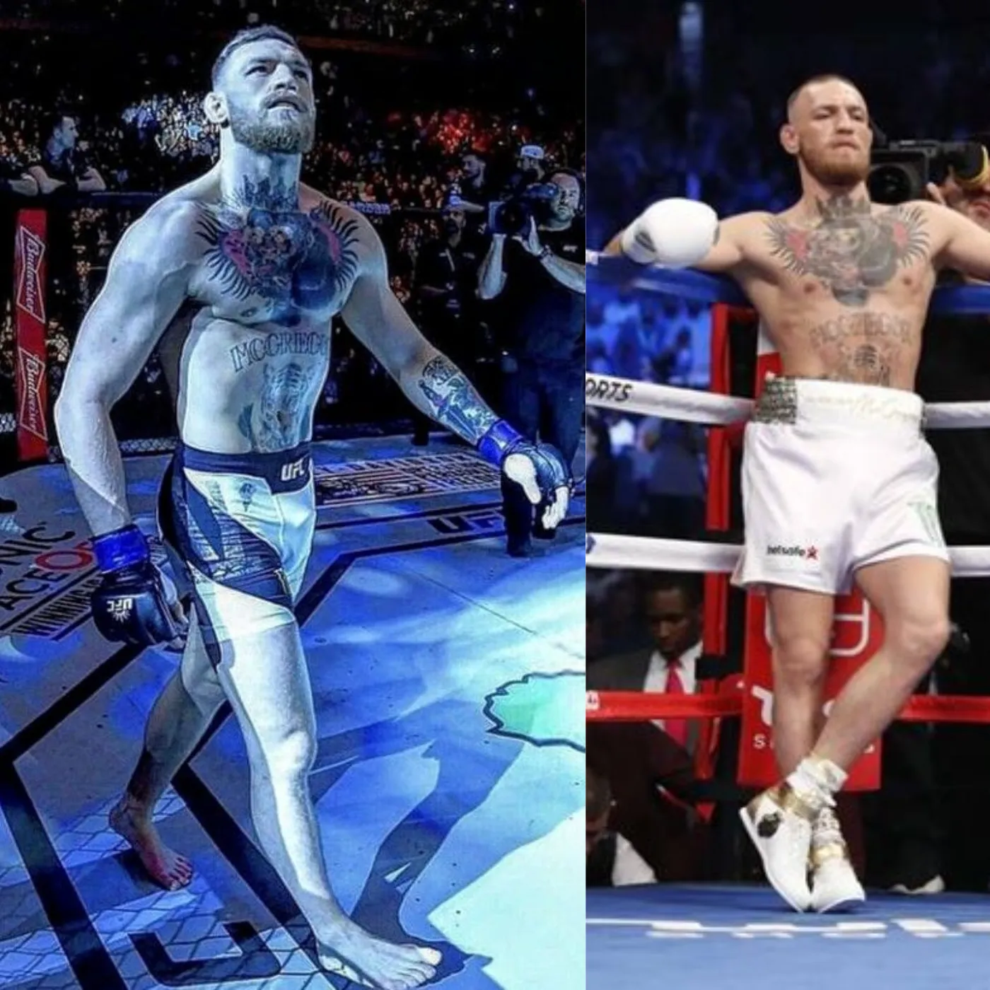 image_6743fcbe9481d Conor McGregor: Just a Dream!!