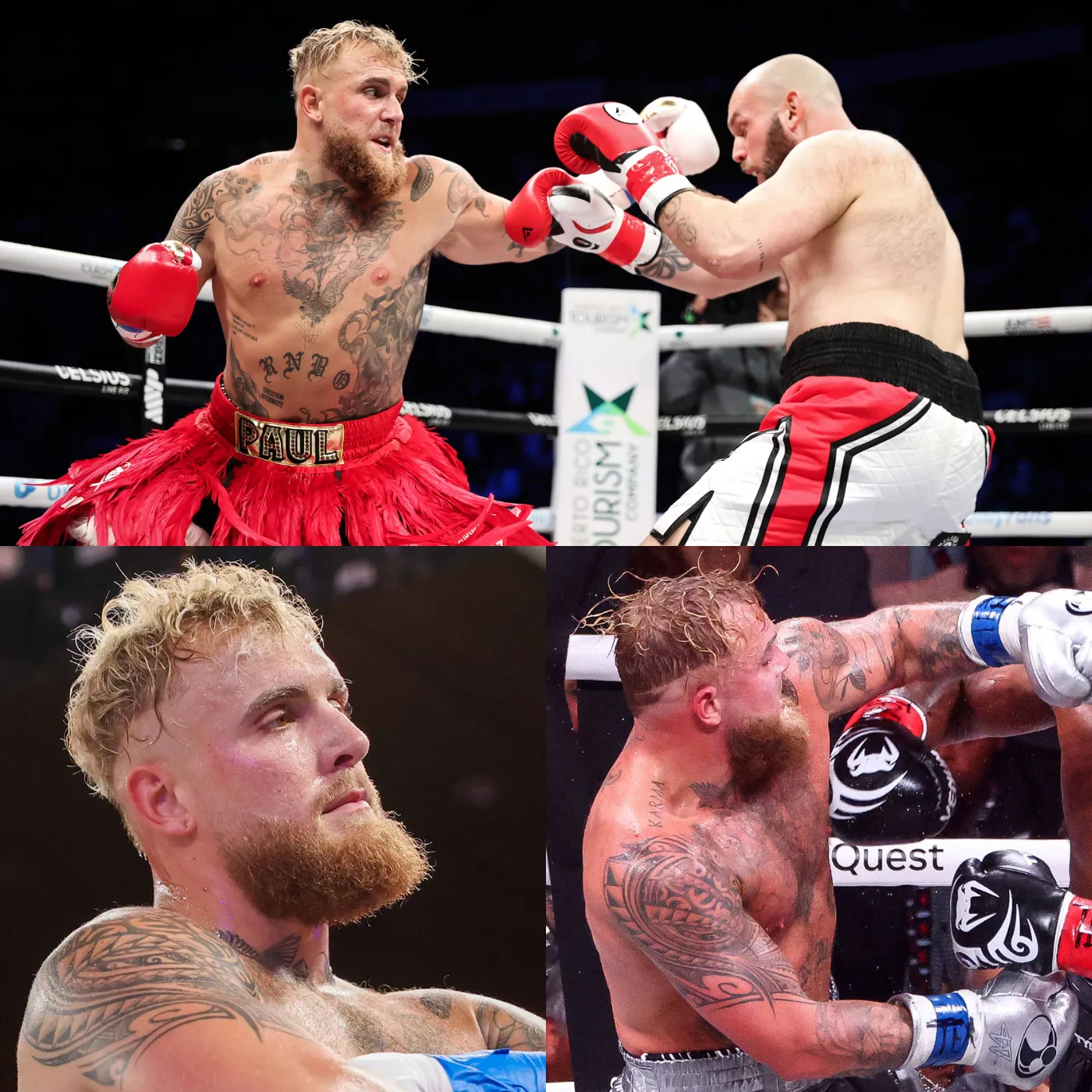 The Rising Dominance of Celebrity Boxing: Jake Paul’s Role in the Fierce Competition