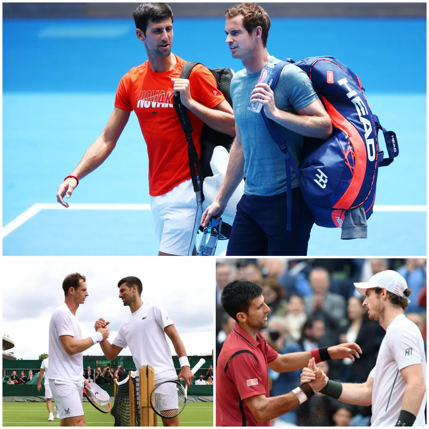 image_6744a5dda1cdb Novak Djokovic Hires Andy Murray as New Coach Ahead of Australian Open